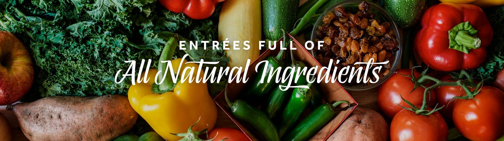 Eat Fresco Deliciously Local Prepared Meals Locally Made in Tampa Bay